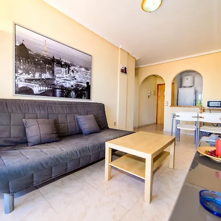 Espanhouse Pleamar 公寓 托雷维耶哈